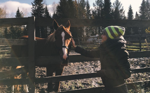 Понедельник в Кирове: прекрасный Зурбаган и полторы недели без соцсетей