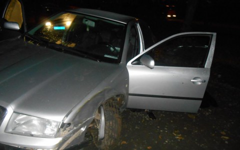 В Кирове водитель потерял сознание, врезался в дерево и погиб