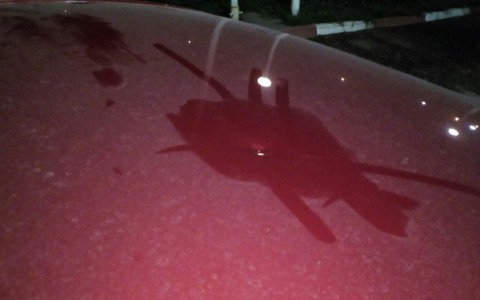 В Чистых прудах обстреляли машину из пневматики