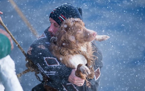 Кировчане на неделю раньше увидели премьеру фильма "Ледокол"