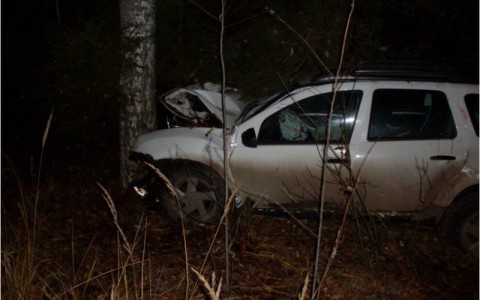 Министр охраны окружающей среды попал в больницу после ДТП в Кировской области