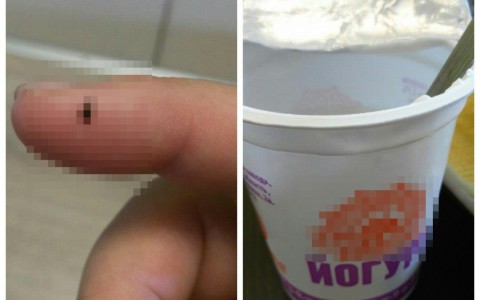 Кировчанка нашла в йогурте насекомое