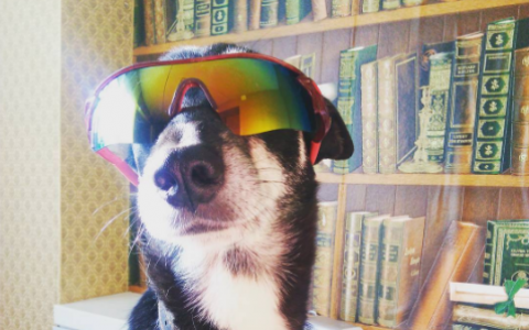 Понедельник в Кирове: подготовка к Хэллоуину и мафия