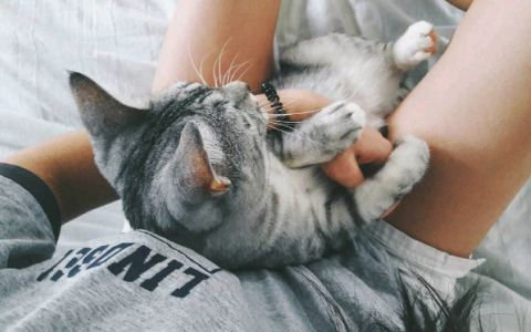 Понедельник в Кирове: дурачество, букет из 101 розы и долгожданная встреча