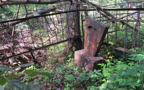 Кировчан могут обязать ухаживать за могилами родственников