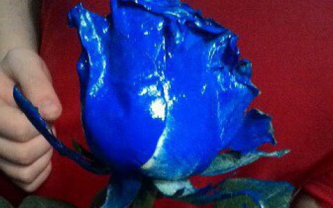 Флористы продали кировчанину цветы, покрашенные гуашью