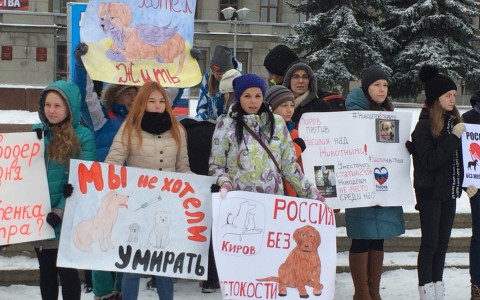 Десятки кировчан вышли на пикет против живодеров