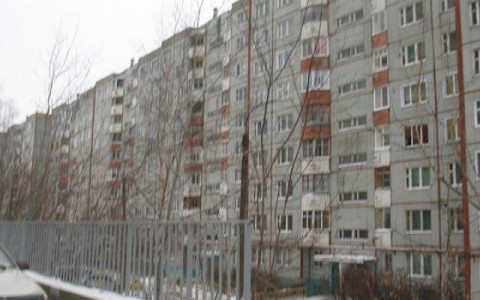 Что обсуждают в Кирове: визит Шуры и происшествие на Комсомольской