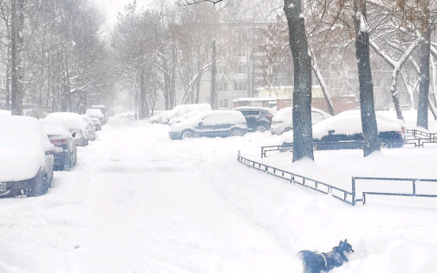 Метеопредупреждение от МЧС: Киров занесет снегом