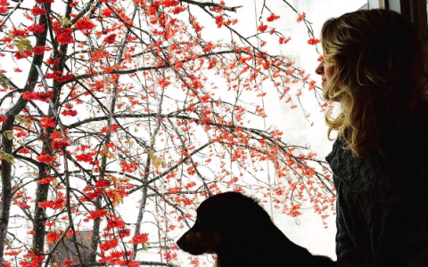 Четверг в Кирове: письма на стекле, отдых в теплых краях и Антарктида