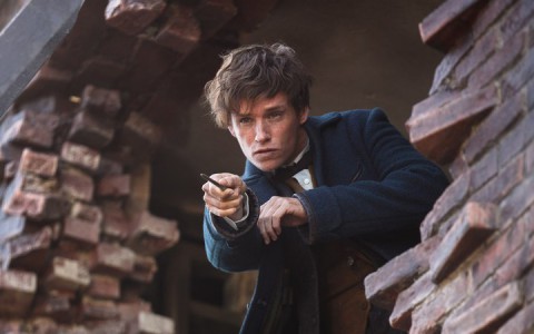 Перед премьерой приквела "Гарри Поттера" кировчане покупают палочки и очки