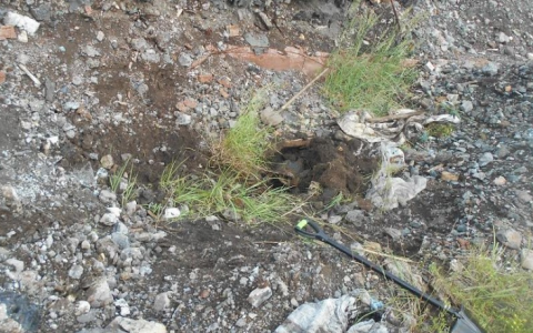 В Кировской области нашли череп человека, пропавшего 5 лет назад