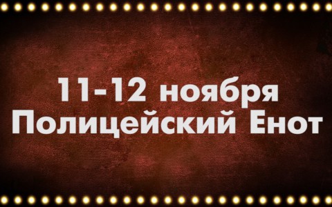 Выходные 11 и 12 ноября. Тематический weekend: Полицейский Енот