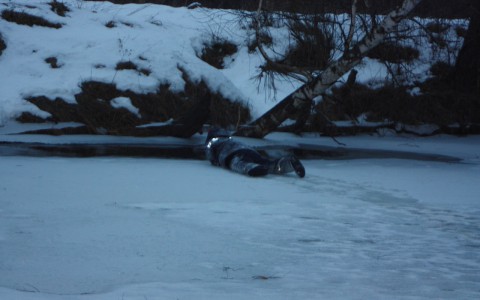 Очевидцы рассказали, как на их глазах в Лосево утонул рыбак