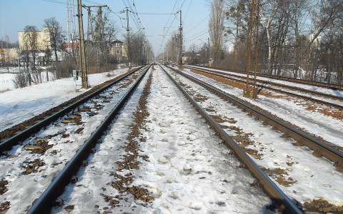 В Кировской области грузовой поезд сбил 11-летнего школьника