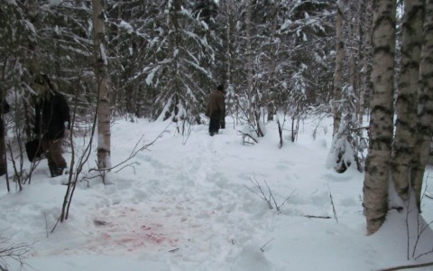 Кировчанин на охоте случайно убил родственника