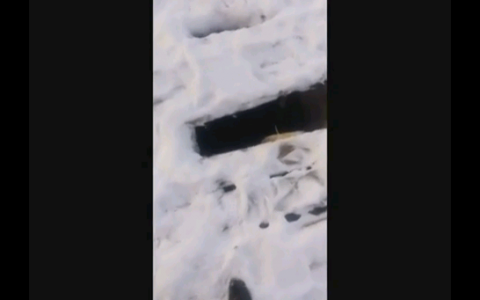 В Вахрушах прохожие не дали ребенку упасть в колодец с водой