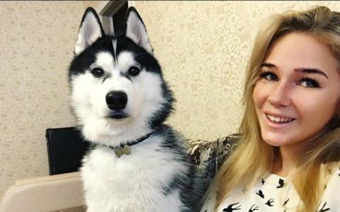 Четверг в Кирове: любимый мокрый нос и рысь на работе