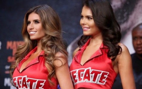 В баре "Дерzкий енот" тематический выходные: Енот на "Формуле -1"