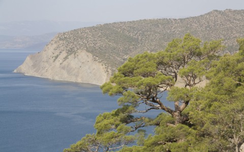 Опрос показал, на что туристы чаще всего жаловались во время отдыха в Крыму