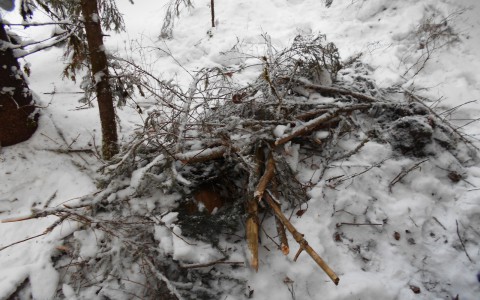 Кировские  автоинспекторы у трассы нашли тело таксиста