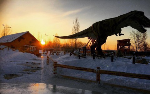 Дискотека, аниматоры и фейерверк: Юркин Парк отмечает первый день рождения