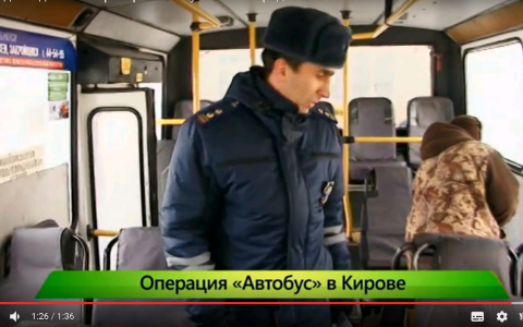 51 нарушитель: в Кирове подвели первые итоги операции «Автобус»