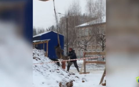 Качавшихся на ковше экскаватора кировских рабочих показали по Первому каналу