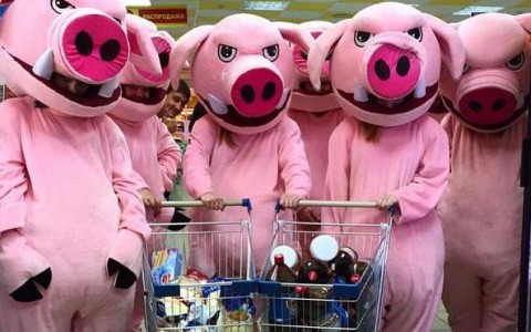 В Кирове появилось движение  "Хрюши против"