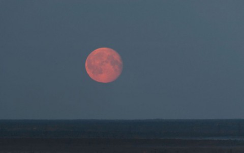 Кировчане смогут увидеть этой ночью последнее суперлуние в уходящем году