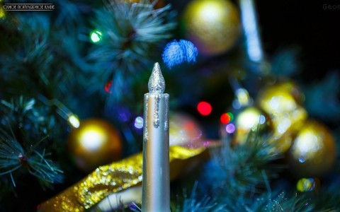 Как сотрудники кафе и ресторанов отметят Новый год?