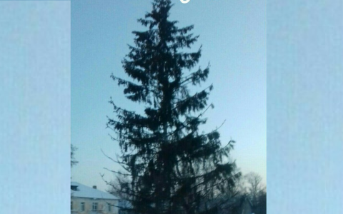 В Зуевке к облезлой елке прибили ветки вместо того, чтобы поменять дерево