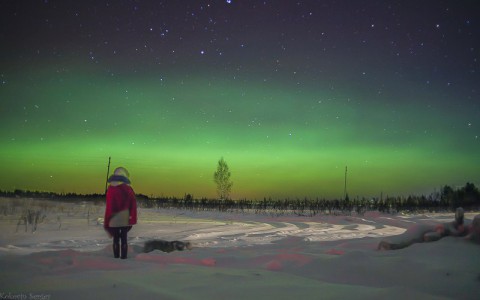 Ночью жители Кировской области наблюдали полярное сияние