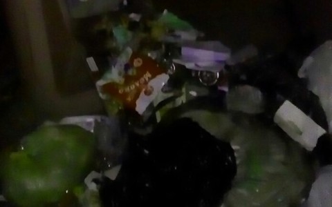Подъезд на Красина утопает в пакетах с мусором