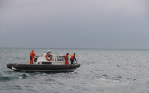 СМИ:  версия крушения Ту-154 из-за птицы стала основной