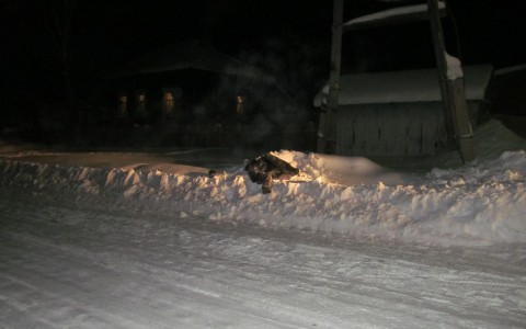 В Кировской области 27-летний водитель насмерть сбил женщину на обочине