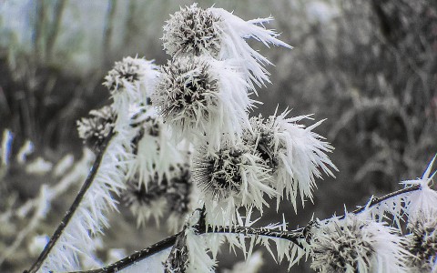 Что обсуждают в Кирове: избитая на трассе и температурный рекорд