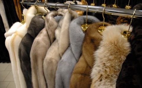 Кировские шубки надели жительницы всей страны!