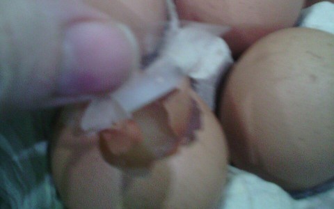 В Кирове в магазине купили яйца, заклеенные скотчем