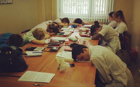 Олени, портреты и макеты частей тела: что фотографируют кировские студенты на лекциях