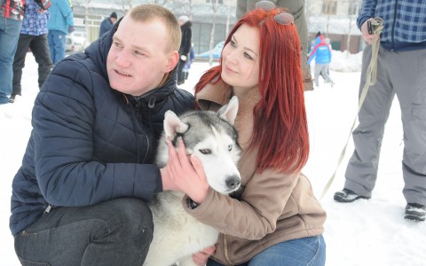 Прогноз погоды: неделя в Кирове будет теплой, но пасмурной