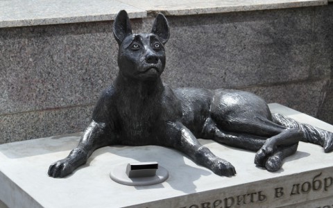 Волонтеры рассказали, сколько денег собрал памятник-копилка в Кирове