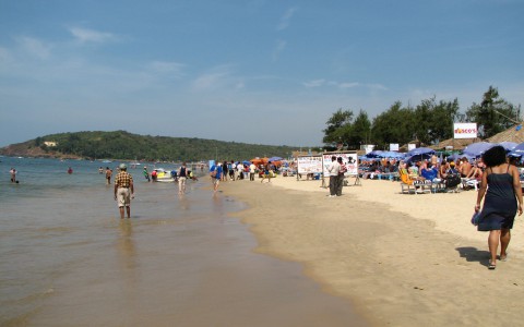 Кировчан просят воздержаться от поездок в Индию из-за смертельной лихорадки