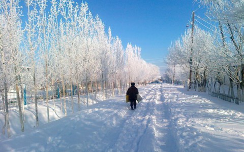 В Кировской области на неделе ожидаются морозы до -35°C