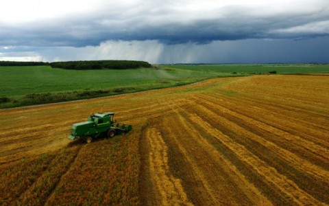 Кировчане бесплатно смогут получить землю на Дальнем Востоке