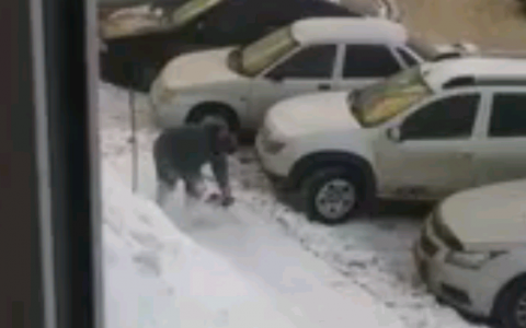 Видео: в Кирове креативный дворник почистил тротуар бензопилой