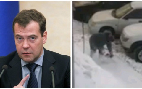 Что обсуждают в Кирове: кортеж Медведева и креативный дворник