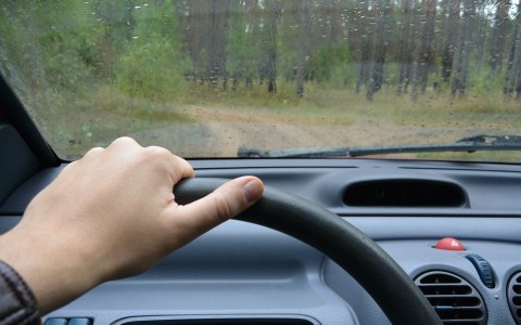 В Кировской области супруги привязали сына к дереву в лесу и уехали домой