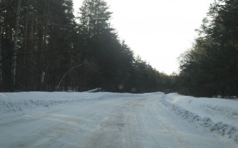 В Кировской области в нескольких метрах от дороги найдено тело женщины