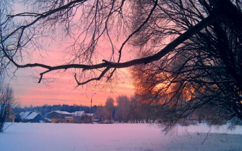 Интересные фото за неделю: сердце на пруду и самая высокая телевышка